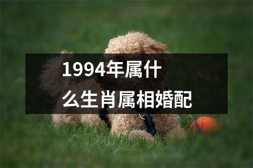 1994年属什么生肖属相婚配