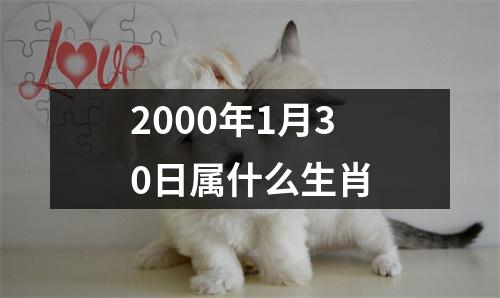 2000年1月30日属什么生肖