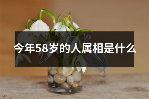 今年58岁的人属相是什么