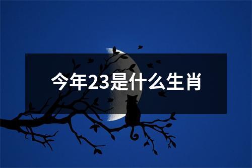 今年23是什么生肖