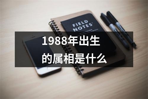 1988年出生的属相是什么