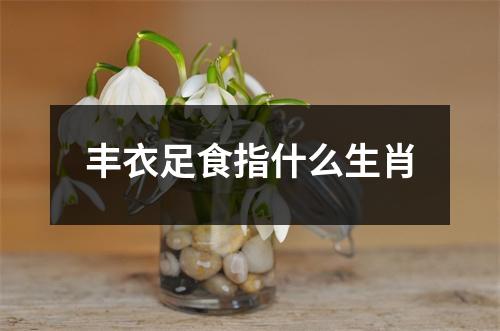 丰衣足食指什么生肖