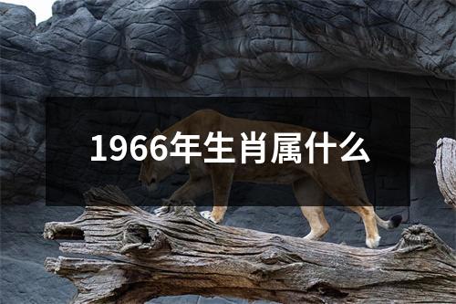 1966年生肖属什么