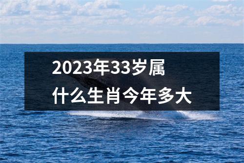 2023年33岁属什么生肖今年多大