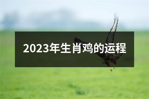 2023年生肖鸡的运程