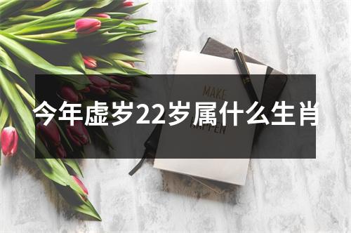 今年虚岁22岁属什么生肖