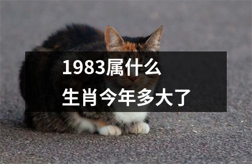 1983属什么生肖今年多大了