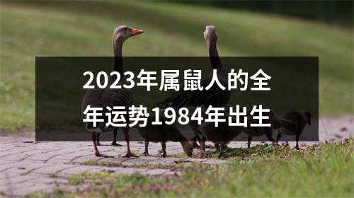 2023年属鼠人的全年运势1984年出生