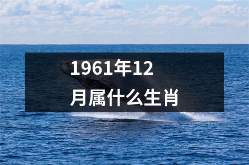 1961年12月属什么生肖