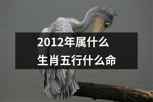 2012年属什么生肖五行什么命