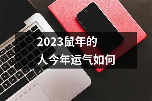 2023鼠年的人今年运气如何