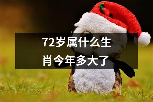 72岁属什么生肖今年多大了