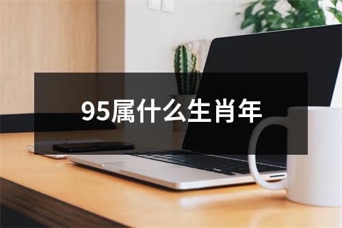 95属什么生肖年