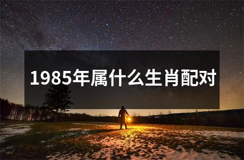 1985年属什么生肖配对