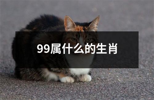 99属什么的生肖