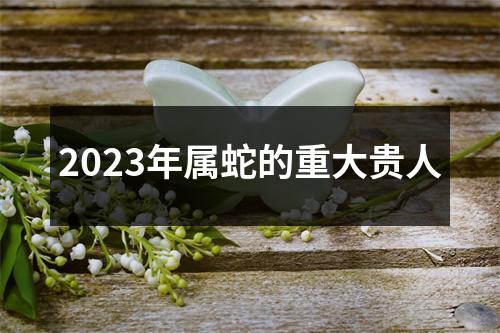 2023年属蛇的重大贵人