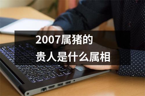 2007属猪的贵人是什么属相