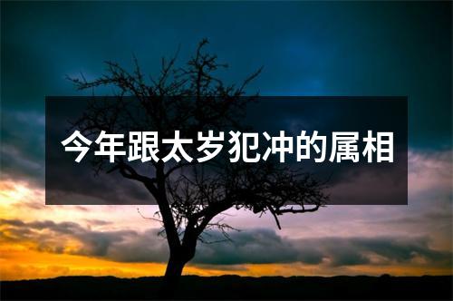 今年跟太岁犯冲的属相