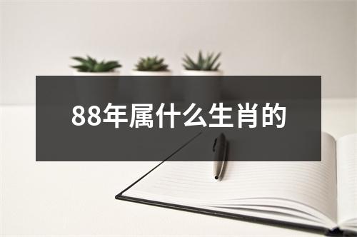 88年属什么生肖的