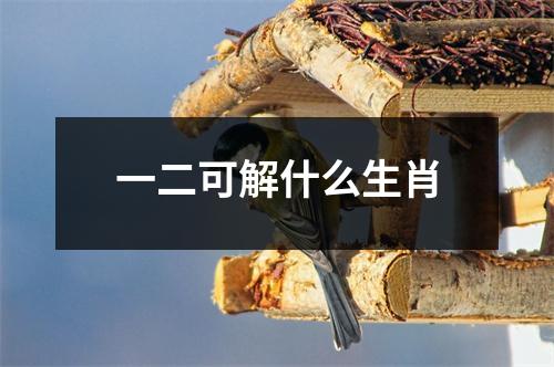 一二可解什么生肖