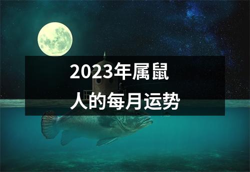 2023年属鼠人的每月运势