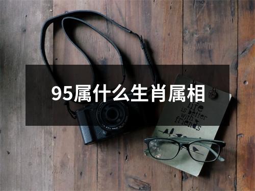 95属什么生肖属相