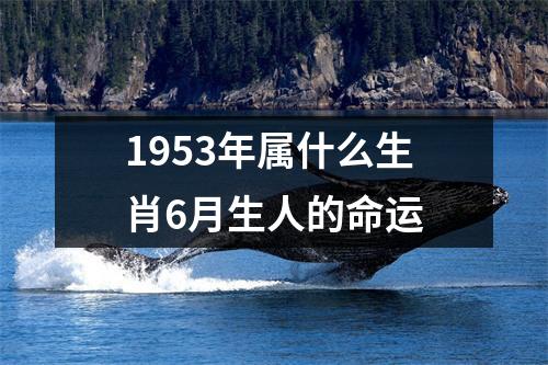 1953年属什么生肖6月生人的命运