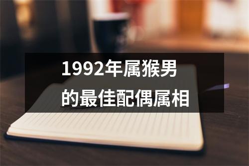 1992年属猴男的最佳配偶属相