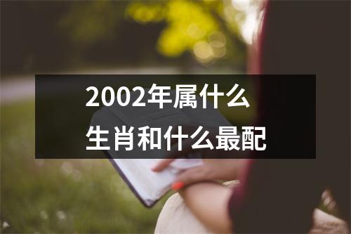 2002年属什么生肖和什么最配