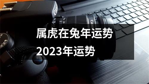 属虎在兔年运势2023年运势