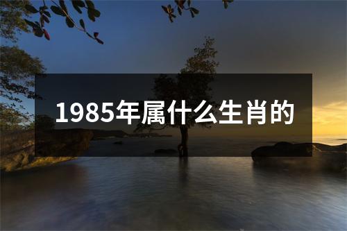 1985年属什么生肖的