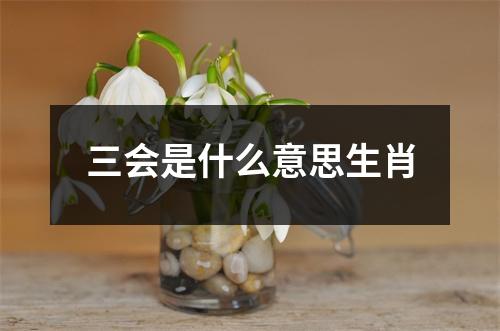 三会是什么意思生肖