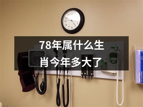 78年属什么生肖今年多大了