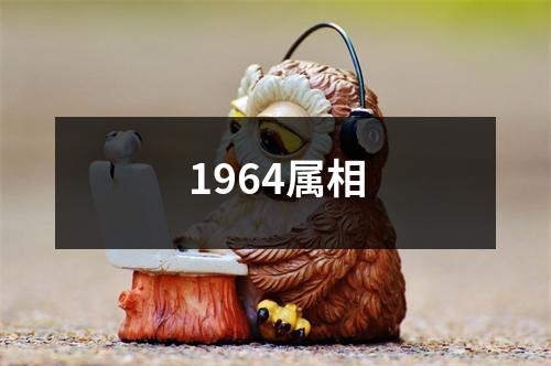 1964属相