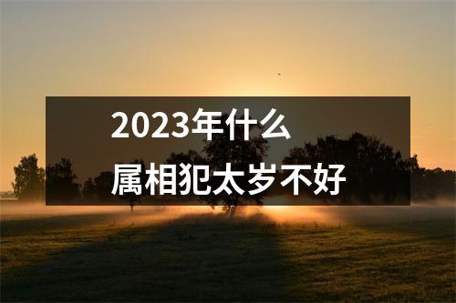 2023年什么属相犯太岁不好