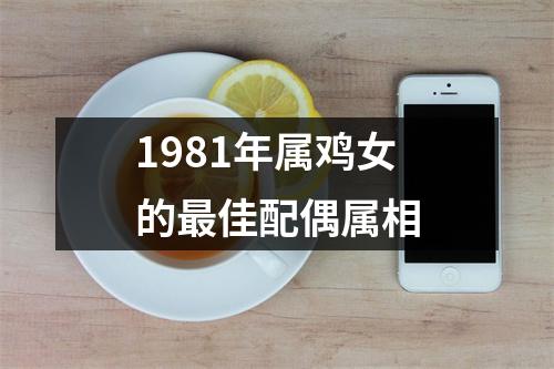 1981年属鸡女的最佳配偶属相