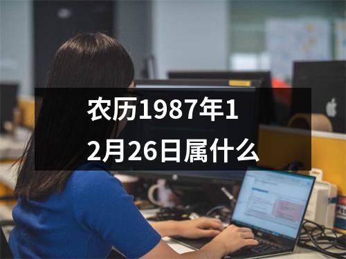 农历1987年12月26日属什么