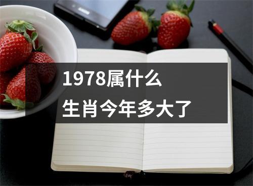 1978属什么生肖今年多大了