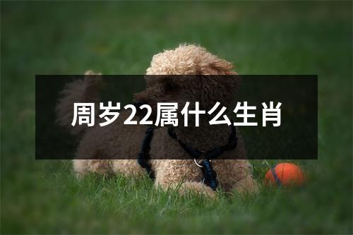 周岁22属什么生肖