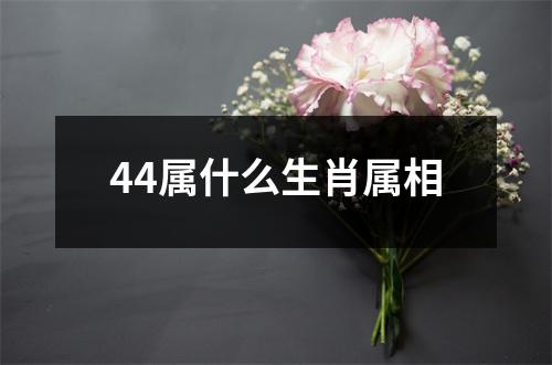 44属什么生肖属相