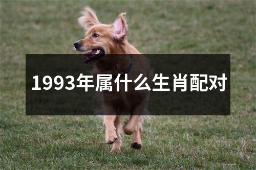 1993年属什么生肖配对