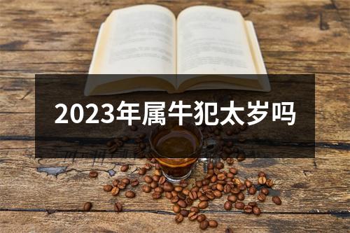 2023年属牛犯太岁吗