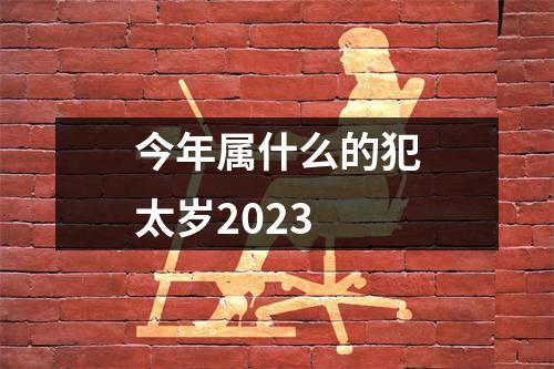 今年属什么的犯太岁2023