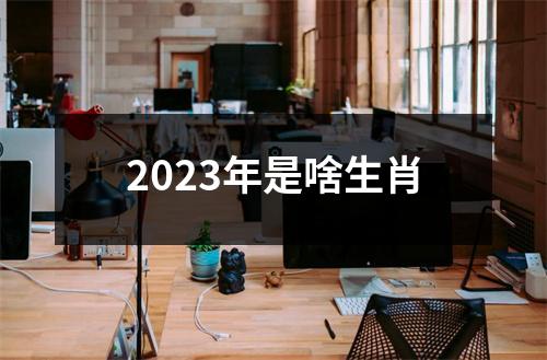 2023年是啥生肖