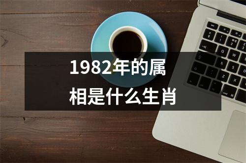 1982年的属相是什么生肖