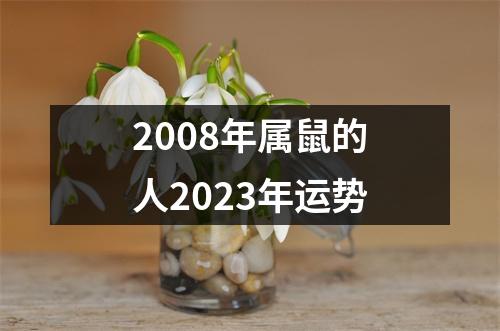 2008年属鼠的人2023年运势