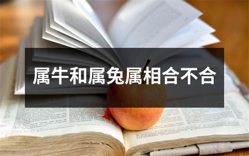 属牛和属兔属相合不合