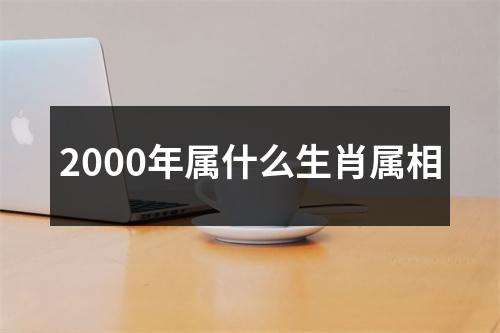 2000年属什么生肖属相