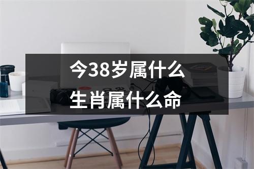 今38岁属什么生肖属什么命