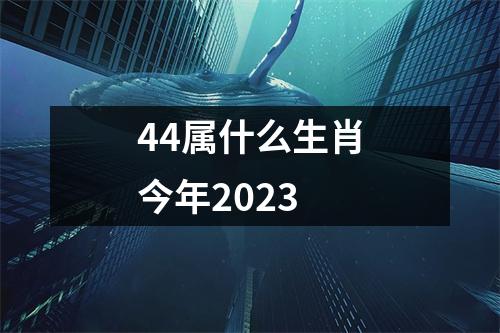 44属什么生肖今年2023